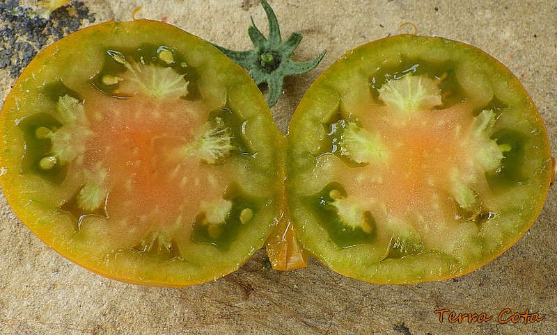 terra cota fruit 3.jpg