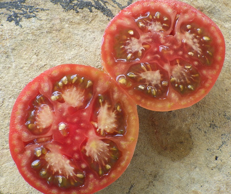 black russian fruit 2.jpg