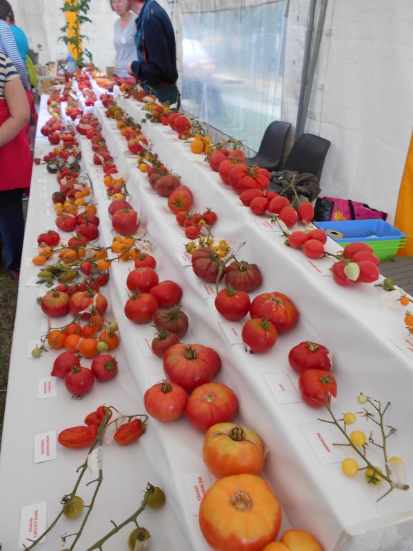 110916 presentation tomates1.JPG