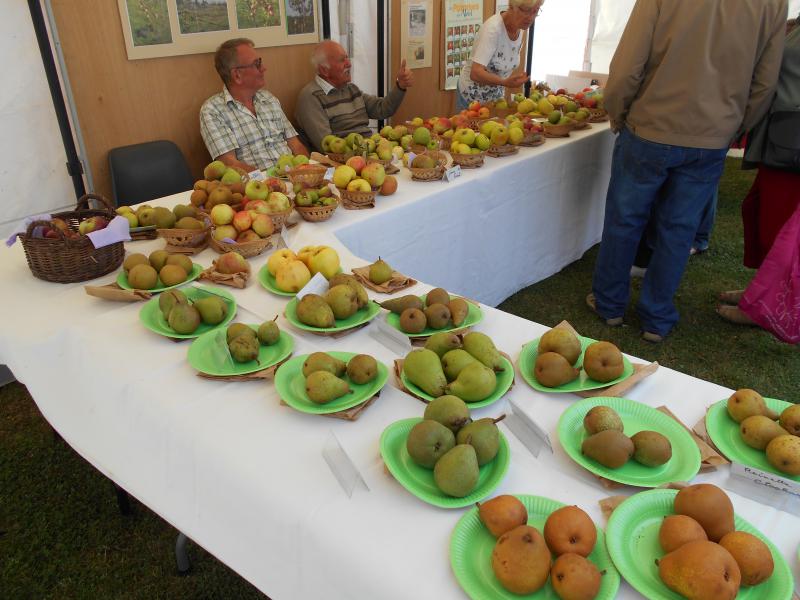 110916 stand les amis du verger Haversk.JPG