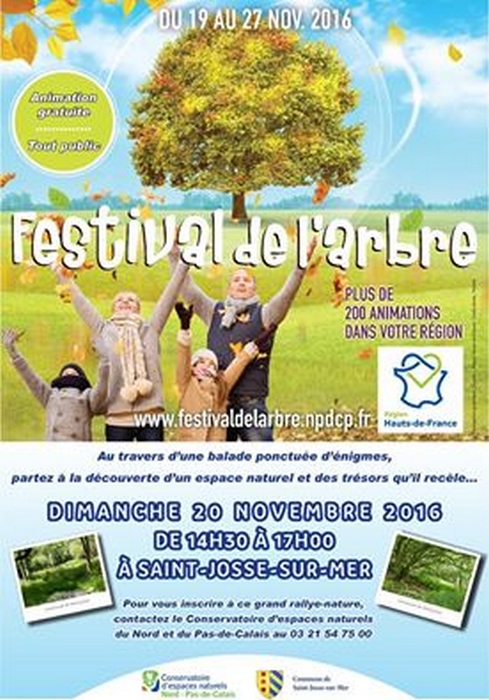 festival arbre.jpg