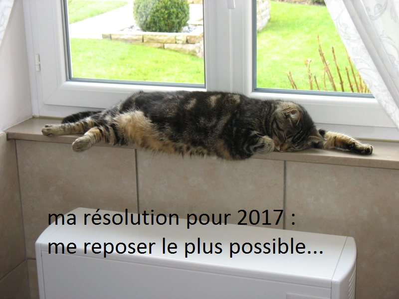 résolution pour 2017.png