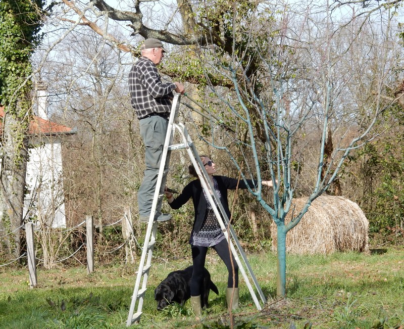 lecon de taille.jpg