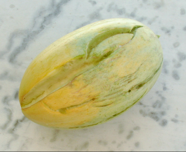 melon.png