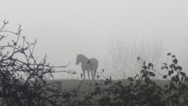 matin 24 décembre.jpg