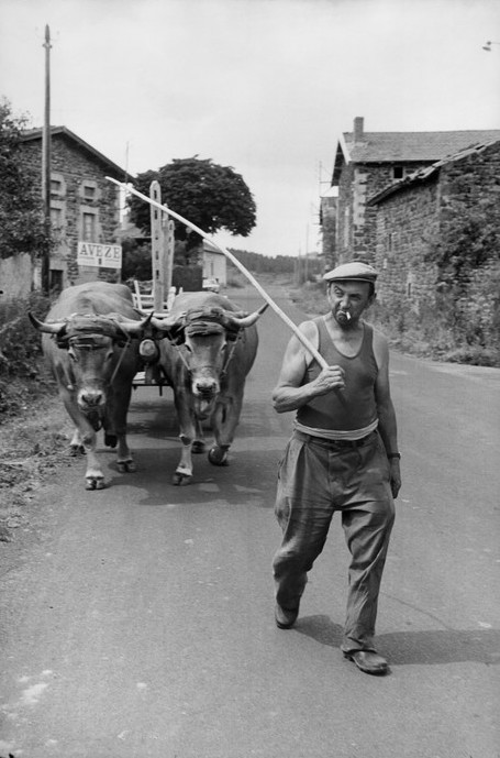 Haute-Loire, Auvergne, France, 1969 - by Henri Cartier-Bresson.jpg