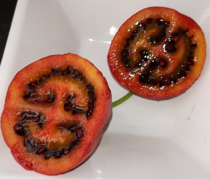 tamarillo.jpg