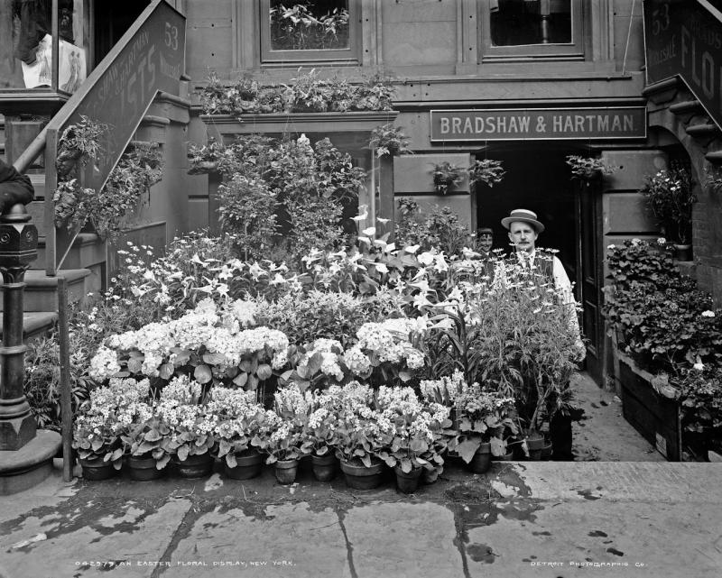 An Easter floral display, New York 1900 1905.jpg