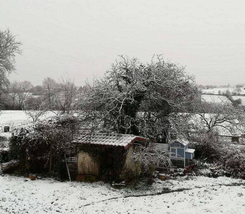 neige 2.jpg