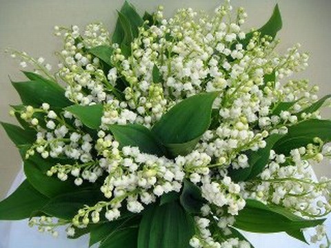 muguet.jpg