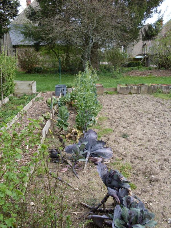 RDT Potager en mars.jpg