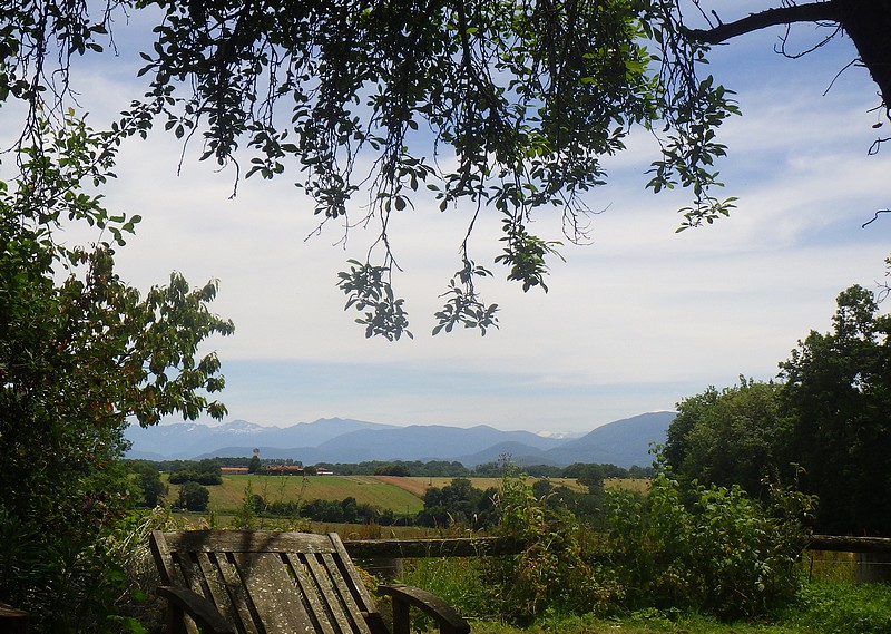 depuis la balancelle.jpg