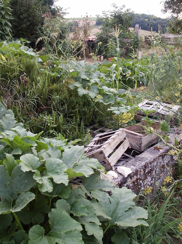 poater-devant-vue-colline.jpg