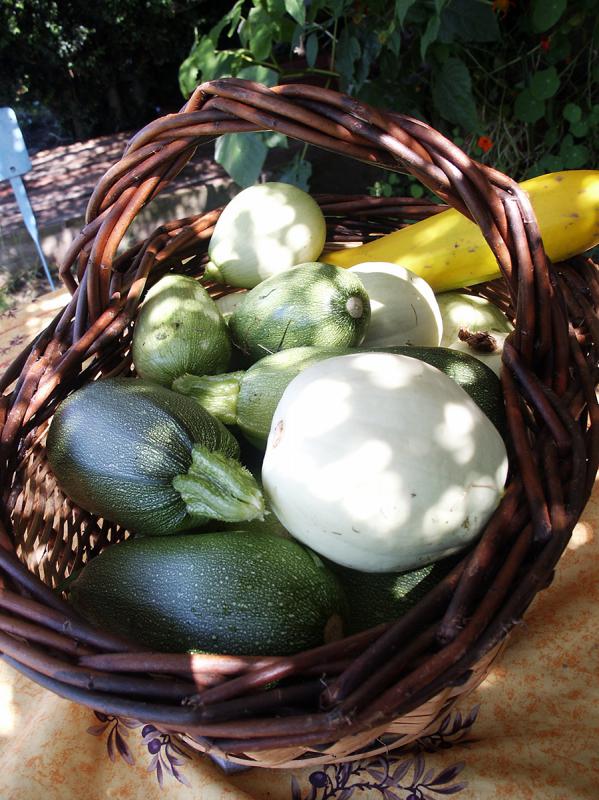 courgettes-panier.jpg