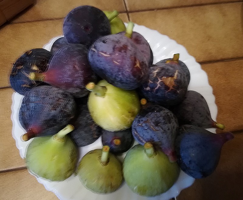 figues.jpg