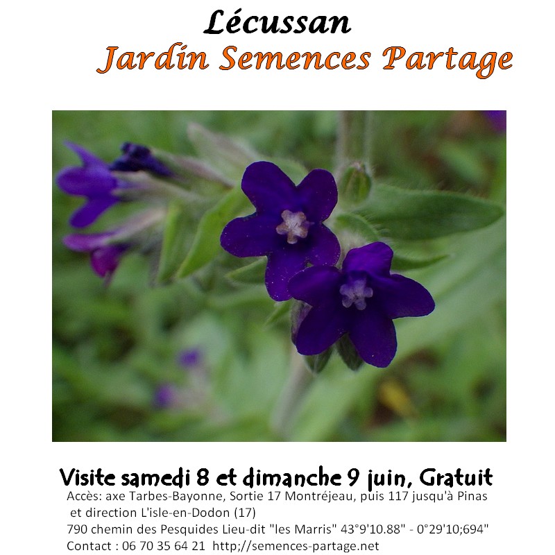 affiche Semmences partage 6.jpg