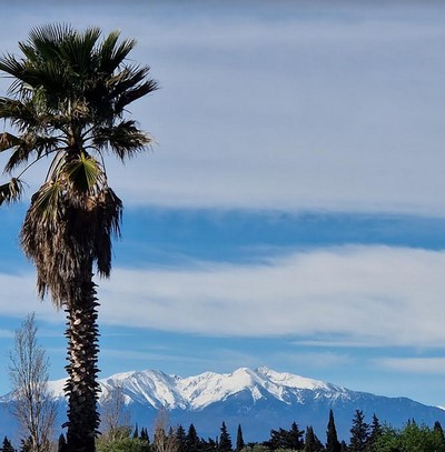 canigou_2024_03_10.jpg