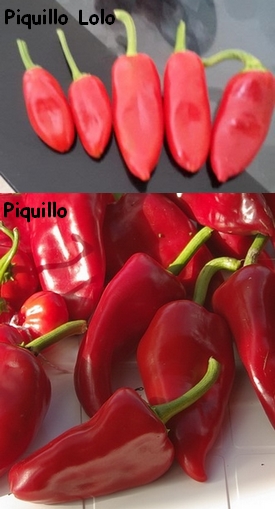 comparaison piquillo.jpg