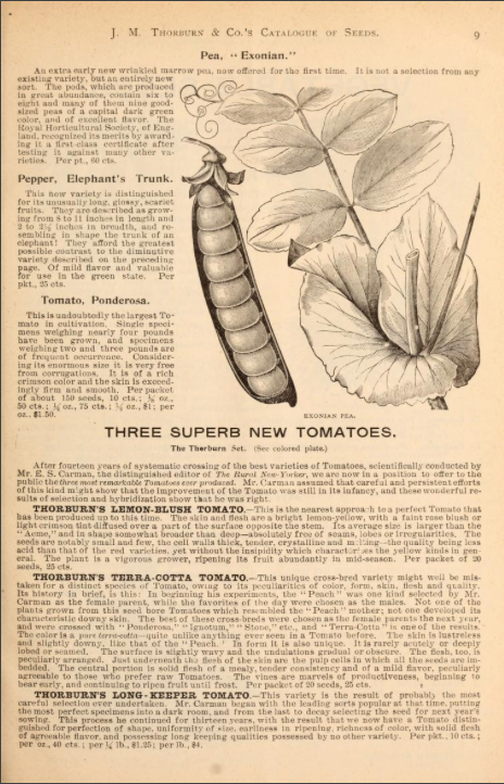 Thornburn Catalogue of seeds_1893_p9.tiff