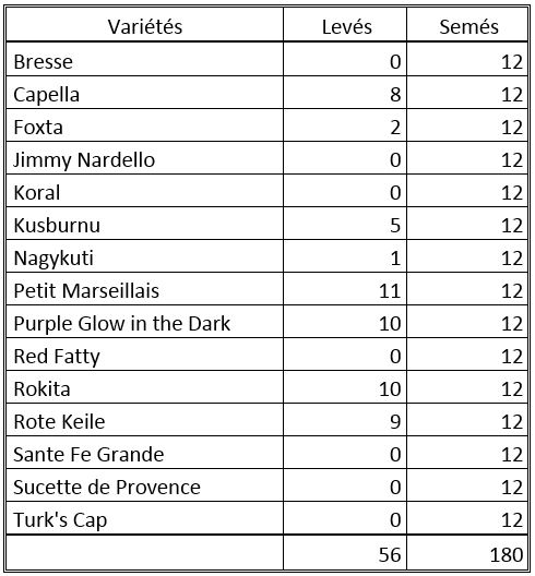 bilan levees pims et poivrons.JPG