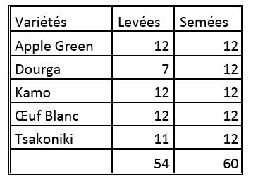 bilan levees aubergines 08 mars 2016.JPG