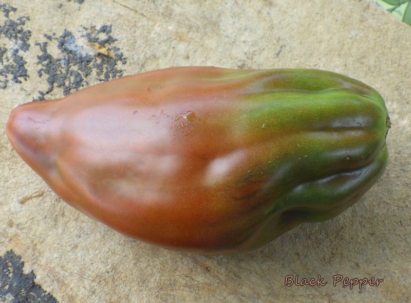 Black pepper fruit 1.jpg