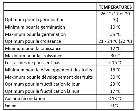températures diverses culture tomates.jpg